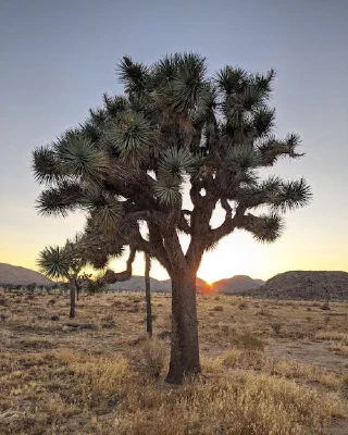 2020: Exploring The United States