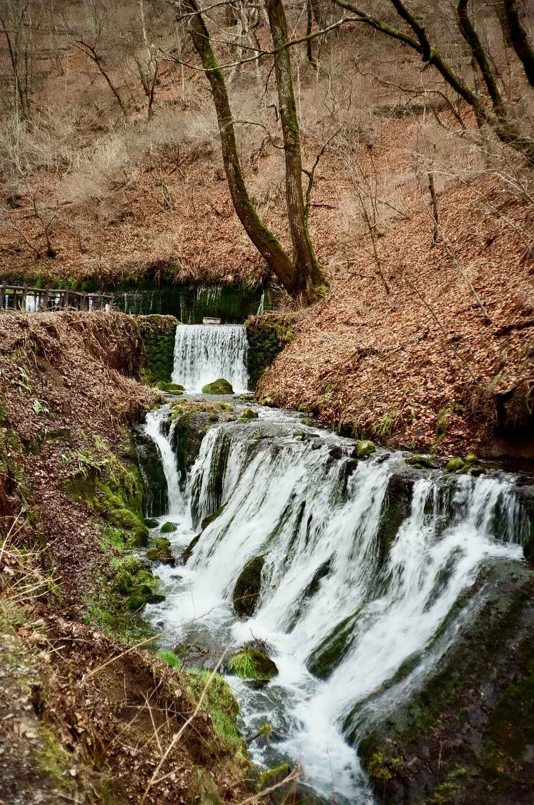 A waterfall cascading down rocks through bare trees in a gorge