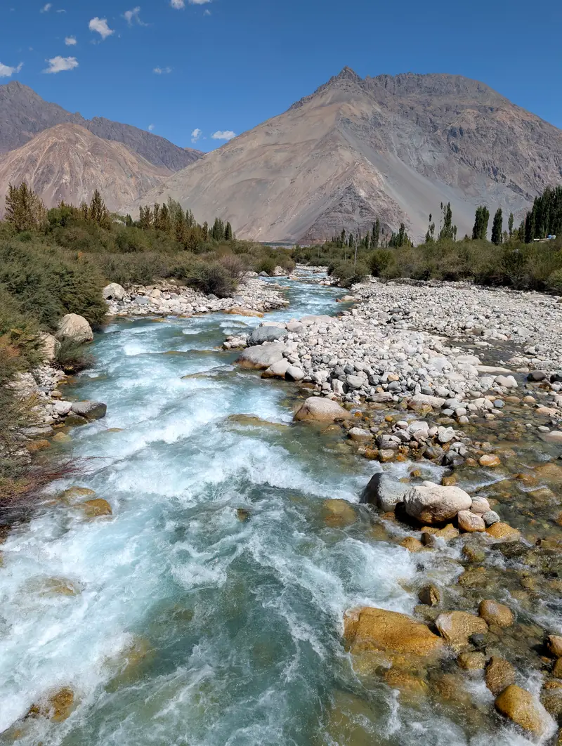 A glacial stream rushing white over stones toward the valley