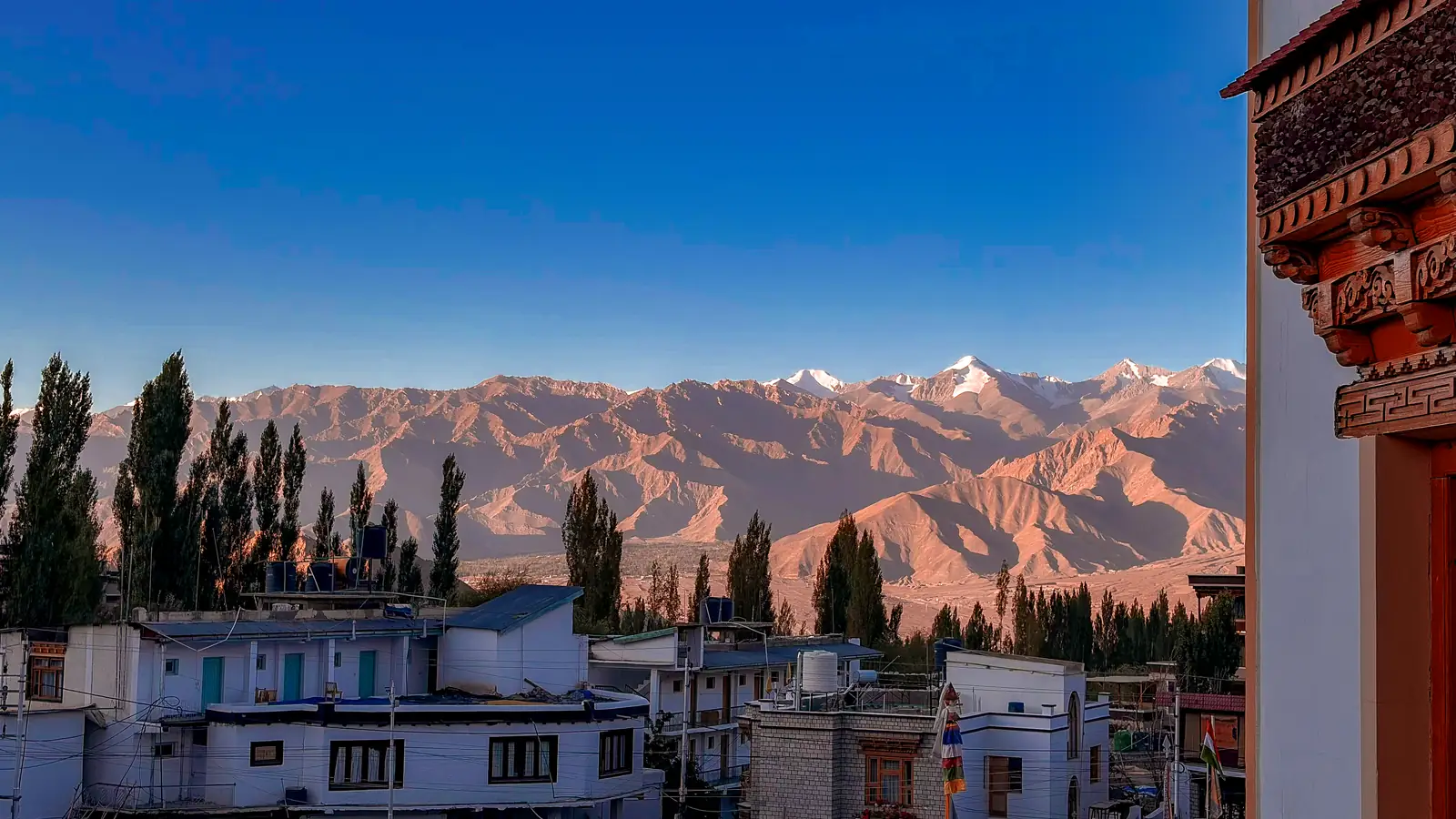 Dawn view over Leh rooftops toward the snow-capped Stok Range
